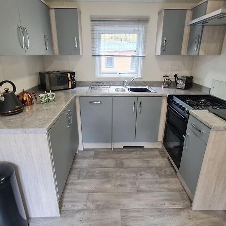 The Ceredigion - Plot 26, Woodlands Lodge Retreat, New Quay, West Wales Llanina Exterior foto